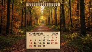 Forest Path Calendar