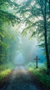 Forest Path Cross