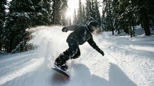 Forest Powder Carve