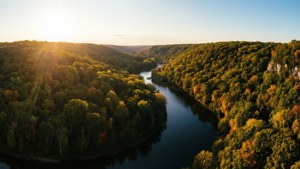 Forest River Panorama