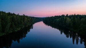 Forest River Twilight
