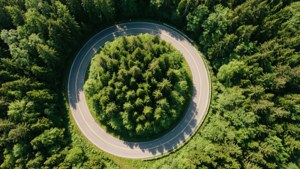 Forest Road Loop