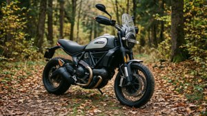 Forest Scrambler
