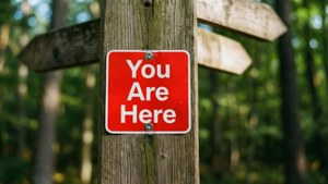 Forest Signpost