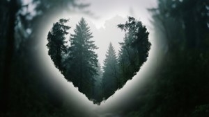 Forest Silhouette Heart Aura