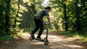 Forest Spin