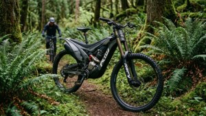 Forest Trail