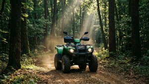 Forest Trail Explorer