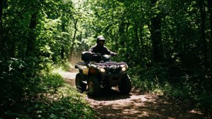 Forest Trail Explorer