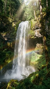 Forest Waterfall Rainbow