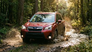 Forester Off-Road