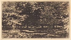 Forêt