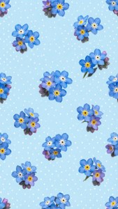 Forget-Me-Not