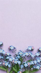 Forget-Me-Not Bottom