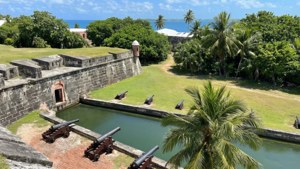 Fort Hamilton View