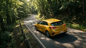 Forte Forest Drive