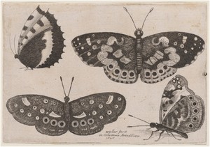 Four Butterflies