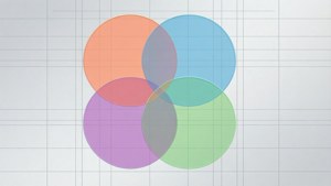 Four Circle Infographic