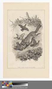 Fox and Partridges