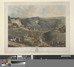 [Fox Hunting] A Pair: Yellowham Wood, / County of Dorset. ..