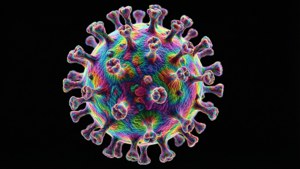 Fractal Virus