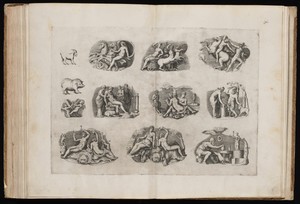 Fragments from Ancient Cameos in the Grimani Collection [Plate III]