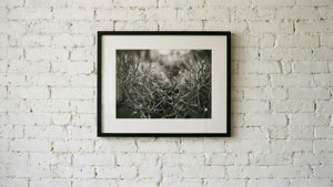 Framed Photo on White Brick