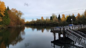 Fraser Foreshore Serenity