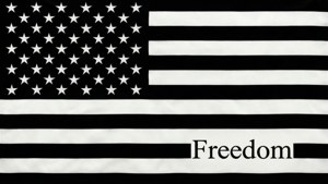 Freedom Quote Flag