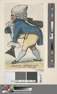 French Ambassador