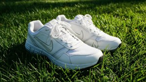 Fresh Kicks