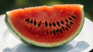 Fresh Watermelon Slice