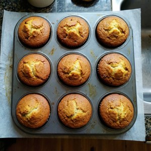 Freshly Baked Muffin Tin