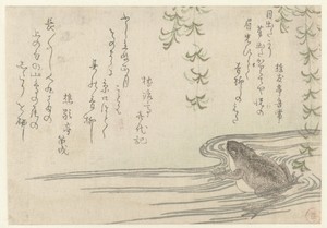 Frog under a Willow Tree