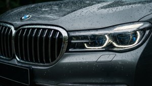 Front Grille Detail
