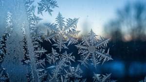 Frost Crystal Macro
