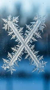 Frost X Winter