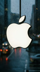 Frosted Glass Apple