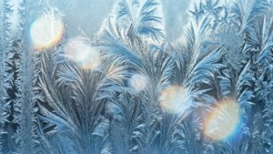 Frosted Glass Refractions