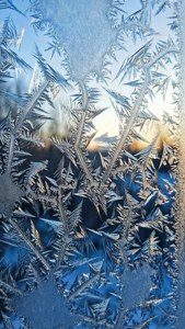 Frosted Window