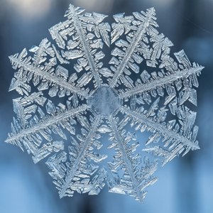 Frosty Ice Crystal Octagon