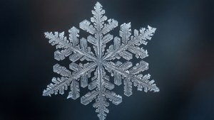 Frosty Macro Detail