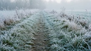 Frosty Pathway