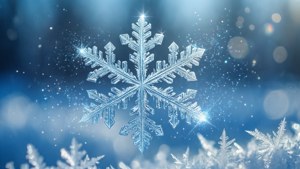 Frosty Sparkle Snowflake