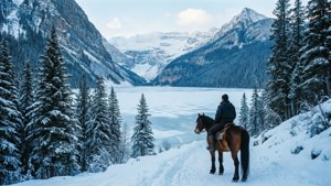 Frozen Frontier