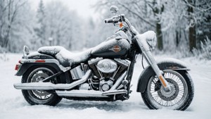 Frozen Harley
