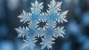 Frozen Hashtag