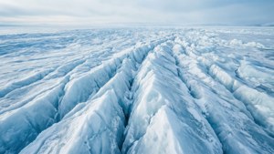 Frozen Horizon