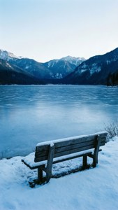 Frozen Lake Bench
