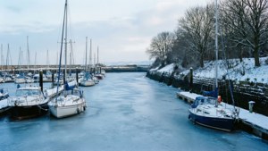Frozen Marina Silence